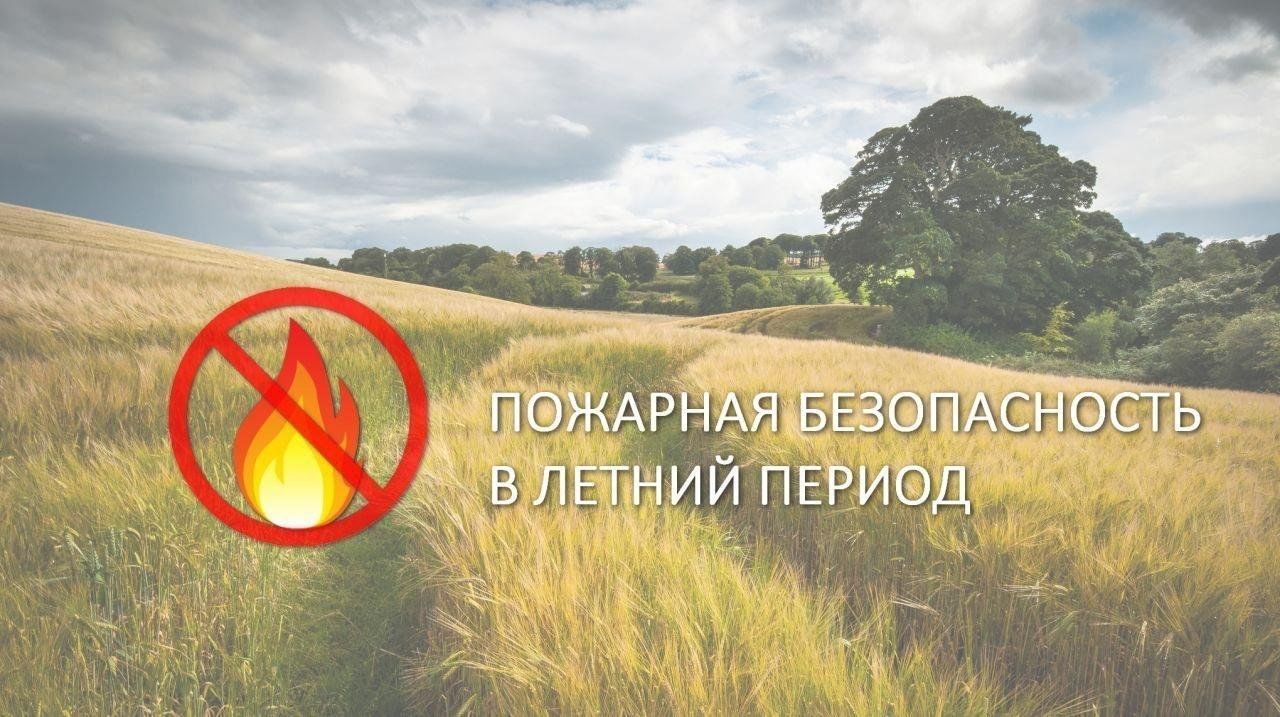 Правила поведения в летний период.